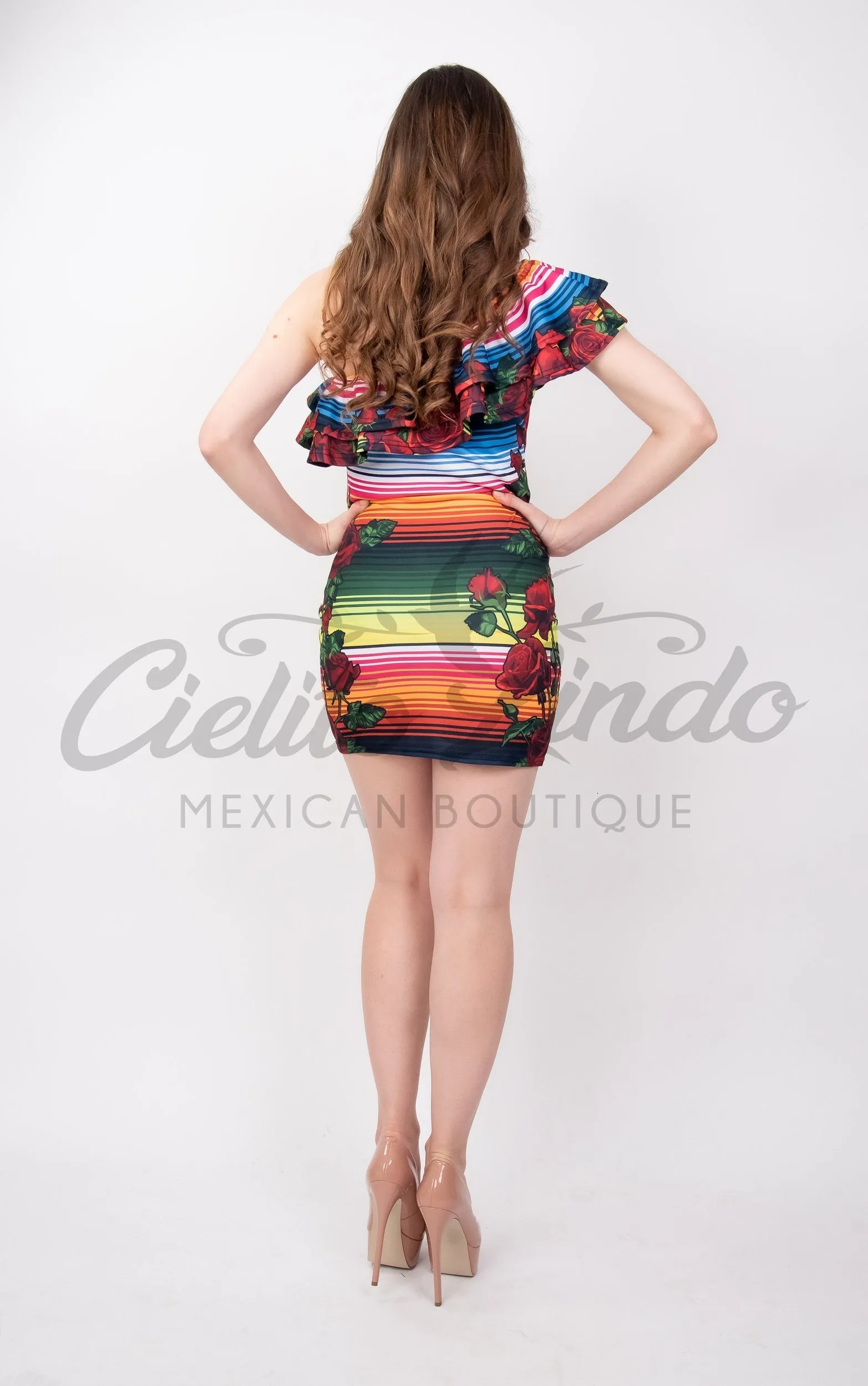 Serape & Red Roses Printed Dress